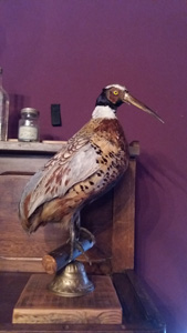 Cie 1 bis rue du Museum